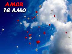 Amor Te Amo